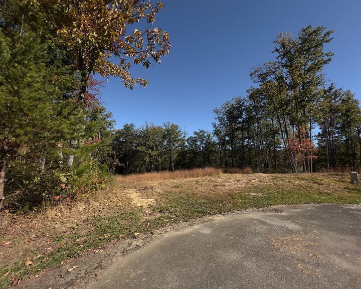 Property Photo:  117 Fox Run Ct  TN 38574 