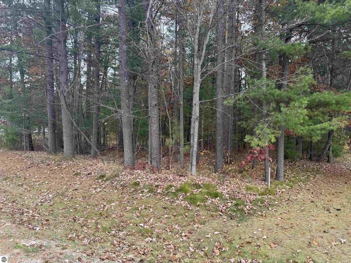 Property Photo: Hammond MI 49709