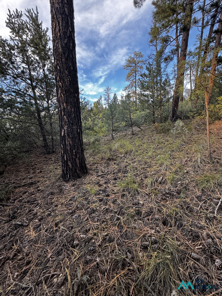 Property Photo:  37 Huff Ave  NM 88350 