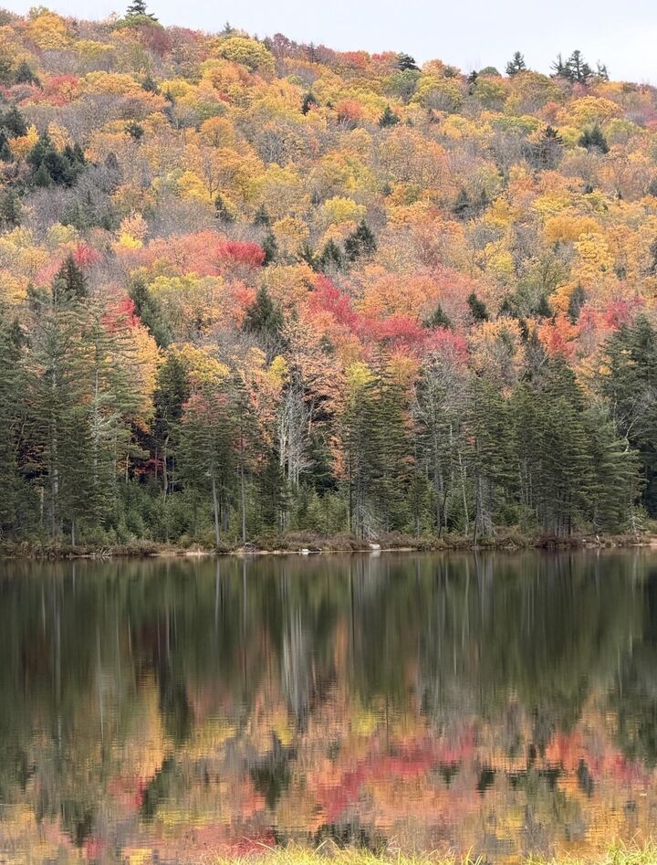 Property Photo:  2232 Little Pond Road  VT 05148 