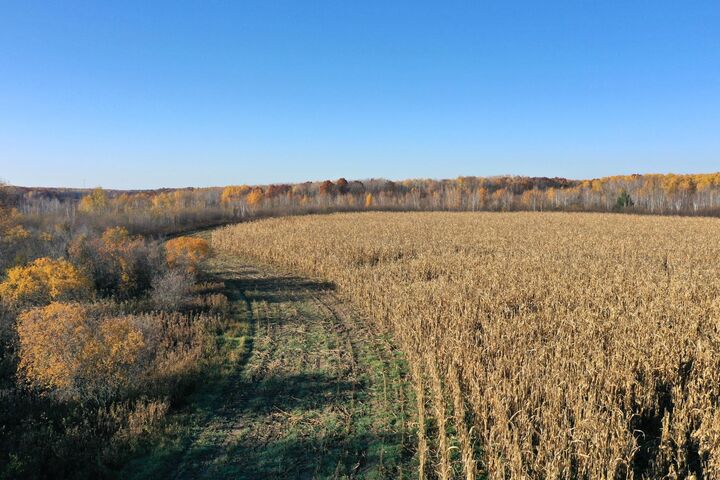 Property Photo: 36963 Skyview Road MN 56338