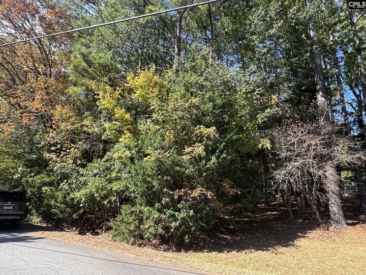 Property Photo: Lot 3 E. Selwood Lane SC 29212