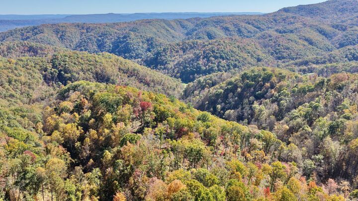 Property Photo: Snake Run Rd WV 24910
