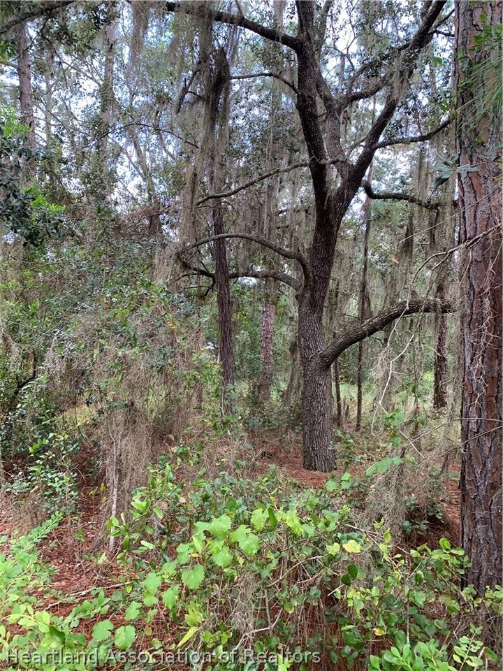 Property Photo:  454 Highlands Lake Drive  FL 33852 