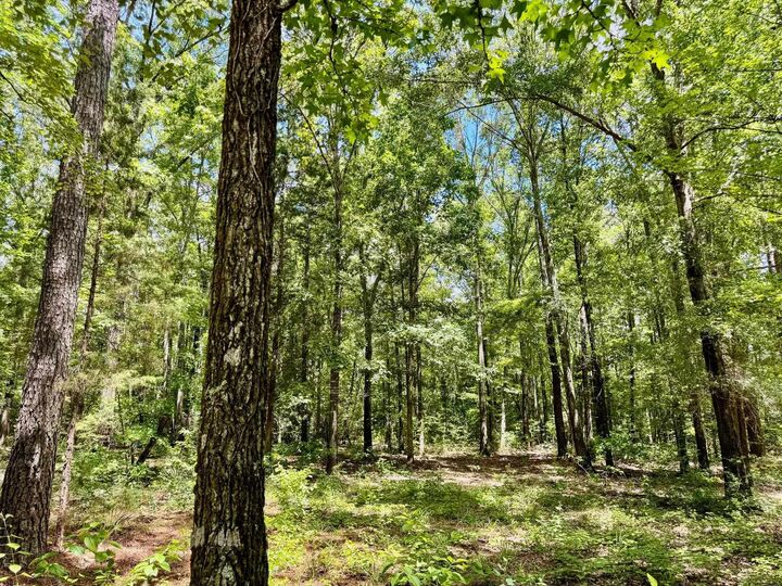 Property Photo:  0000 Cr 1131  TX 75563 