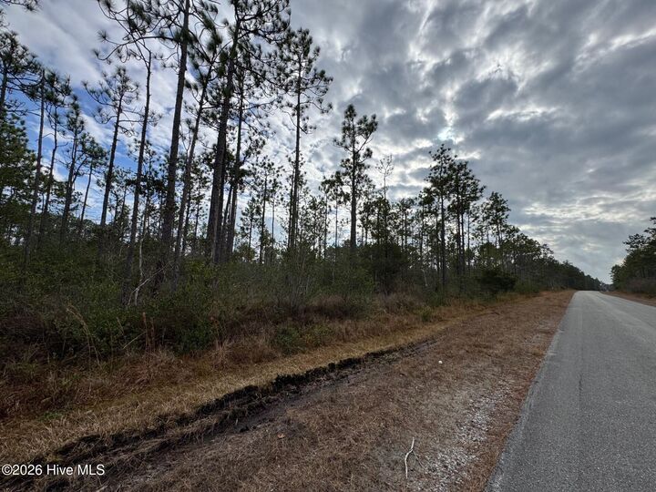Property Photo: Lot 22 22 Pepperhill Road NC 28461