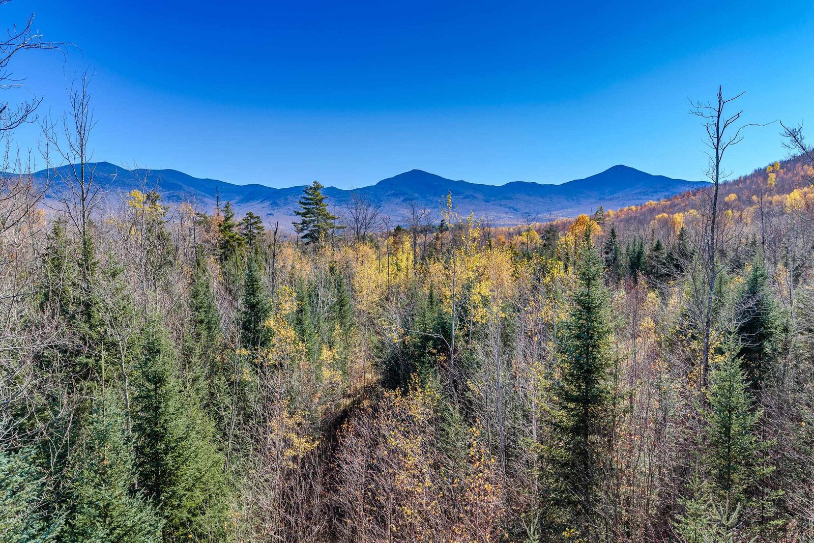 Property Photo:  Tbd.lot1 Swazey Lane  NH 03574 