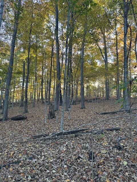 Property Photo: 0 England Hollow Road OH 45601