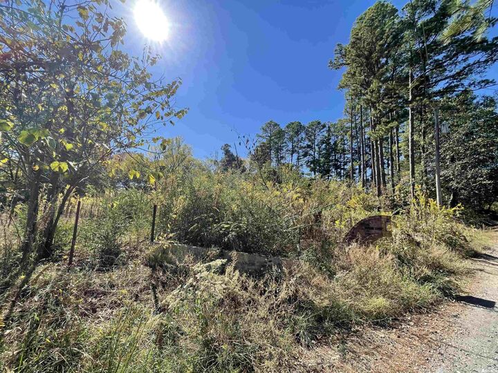 Property Photo: 114 Hillcrest Lane AR 71953