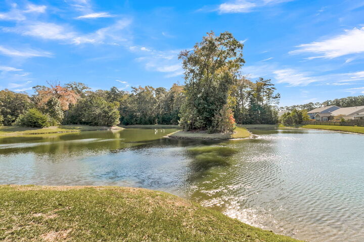 Property Photo: 256 Gazania Way SC 29414