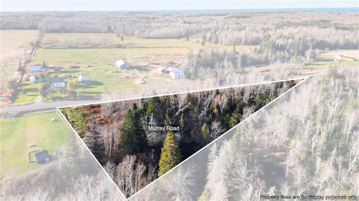 Property Photo: Lot Murray Road NB E4M 3P1