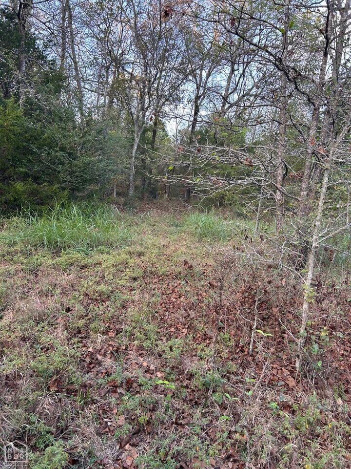 Property Photo: 63 N Highway AR 72434