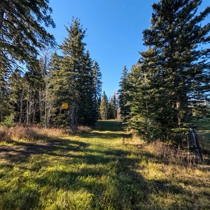 Property Photo:  131 Meadow Ponds Drive  AB T4T 2A2 