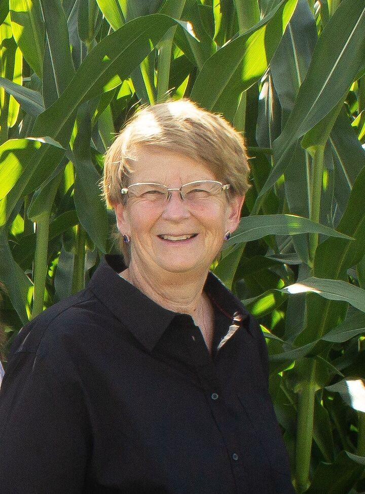 Karen Monkemeyer, Real Estate Salesperson in Naperville, North East