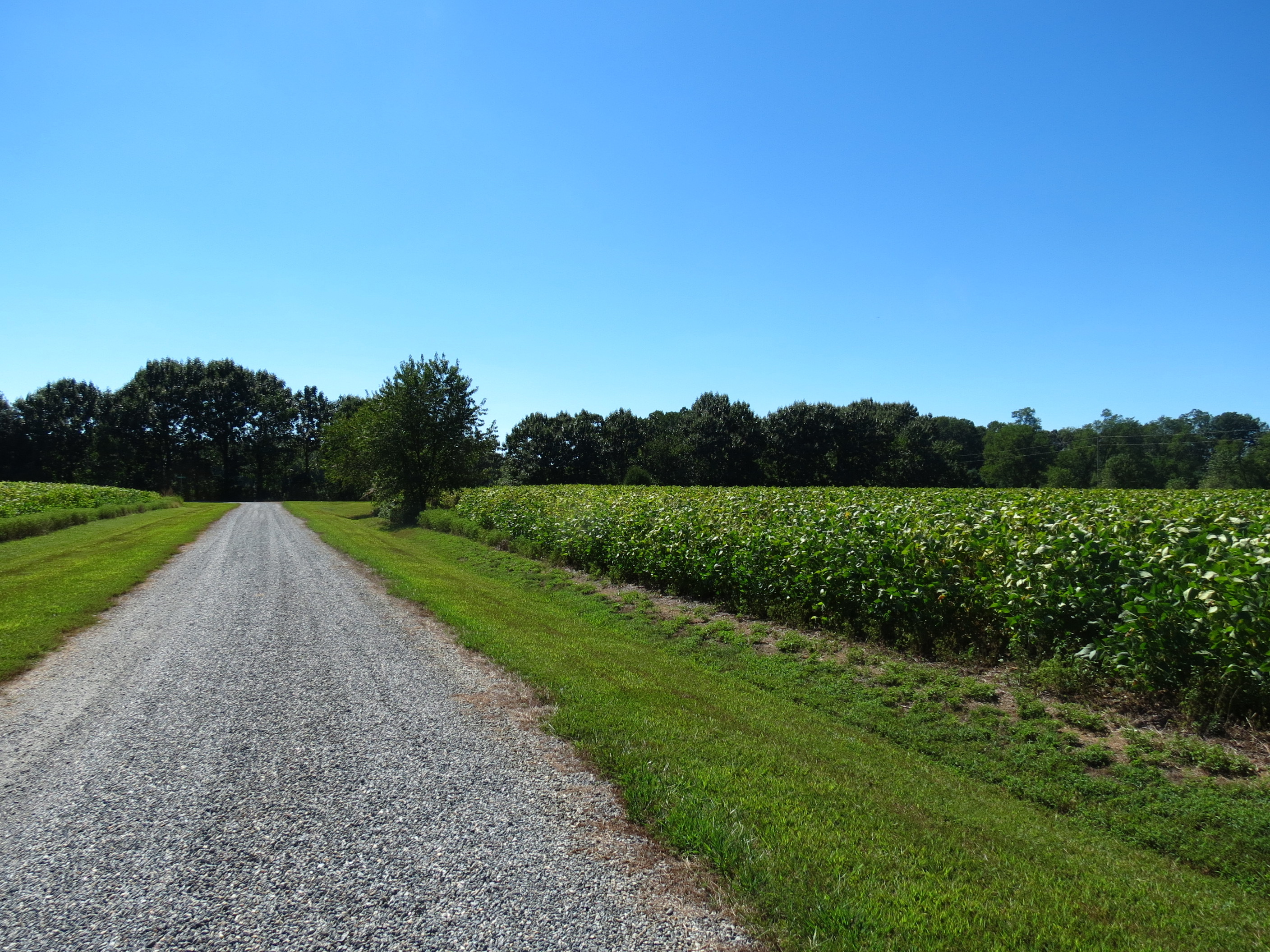 Property Photo: Lot 4 Paddock Drive VA 22503