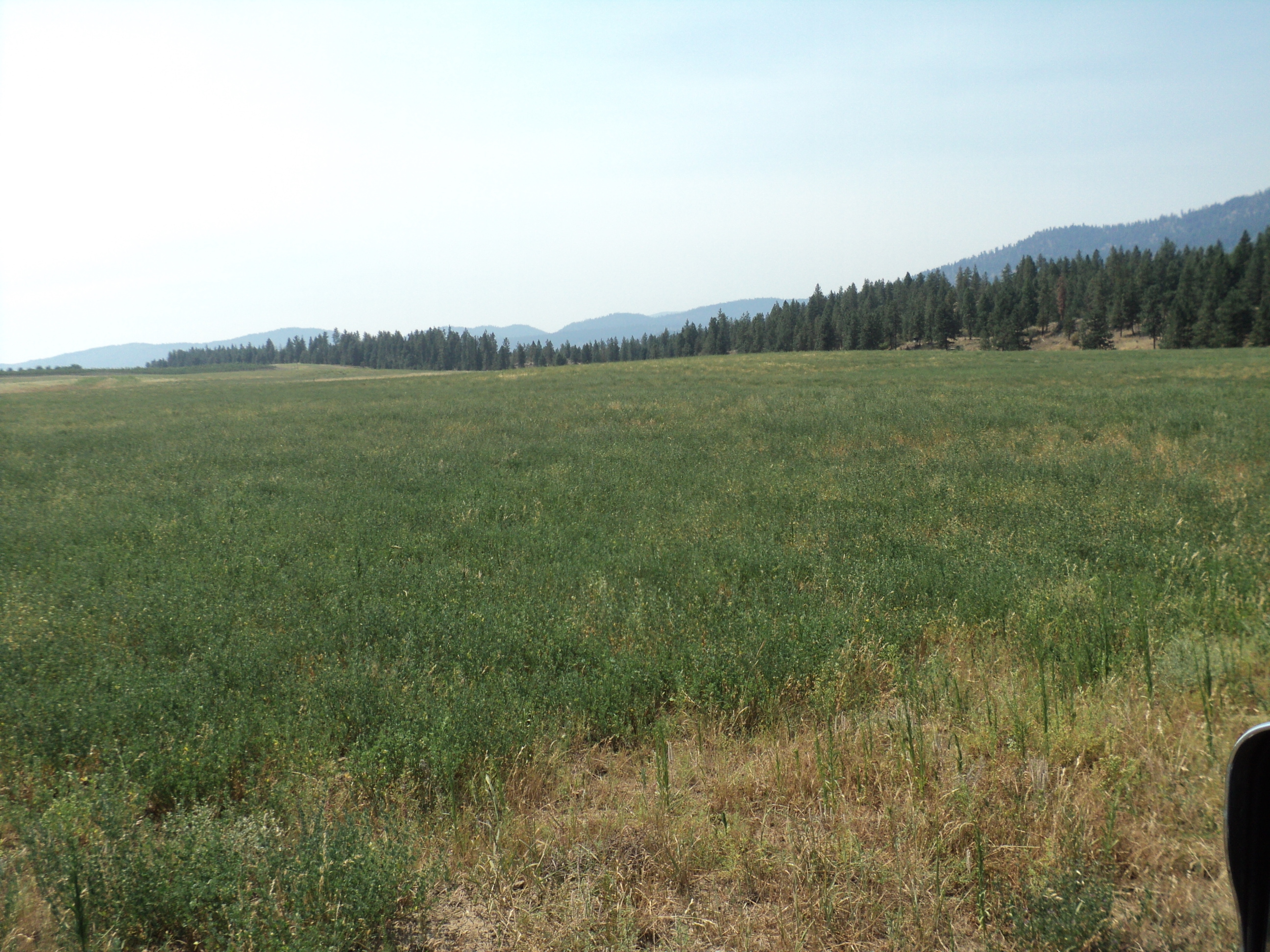 Property Photo:  Lot 10 Hwy 25 S  WA 99141 