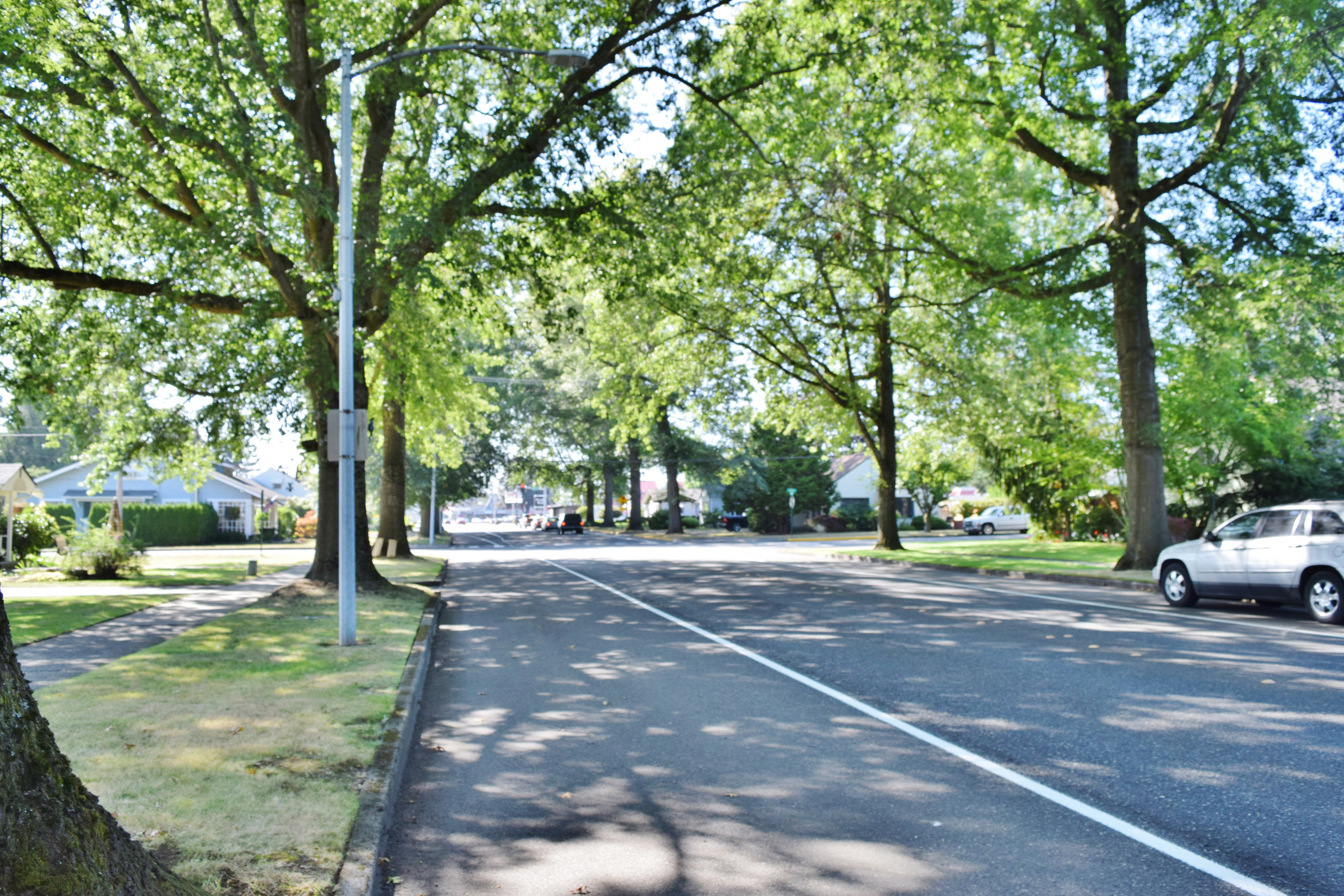 Property Photo: Neighborhood 1511 Front Street WA 98264