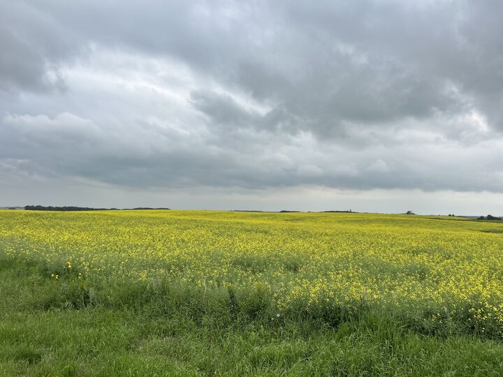 Photo de la propriété:  NE 10-15-17  MB R0J 1E0 
