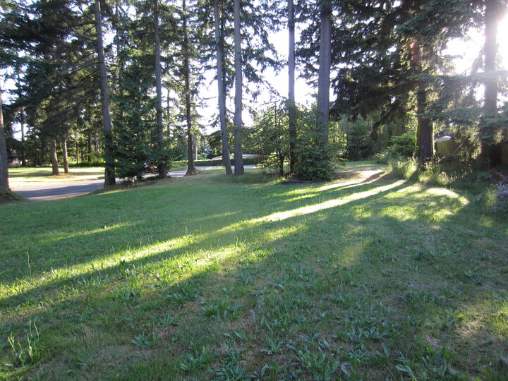 Property Photo: Multi residential building lot 6321 194th St SW  WA 98036 