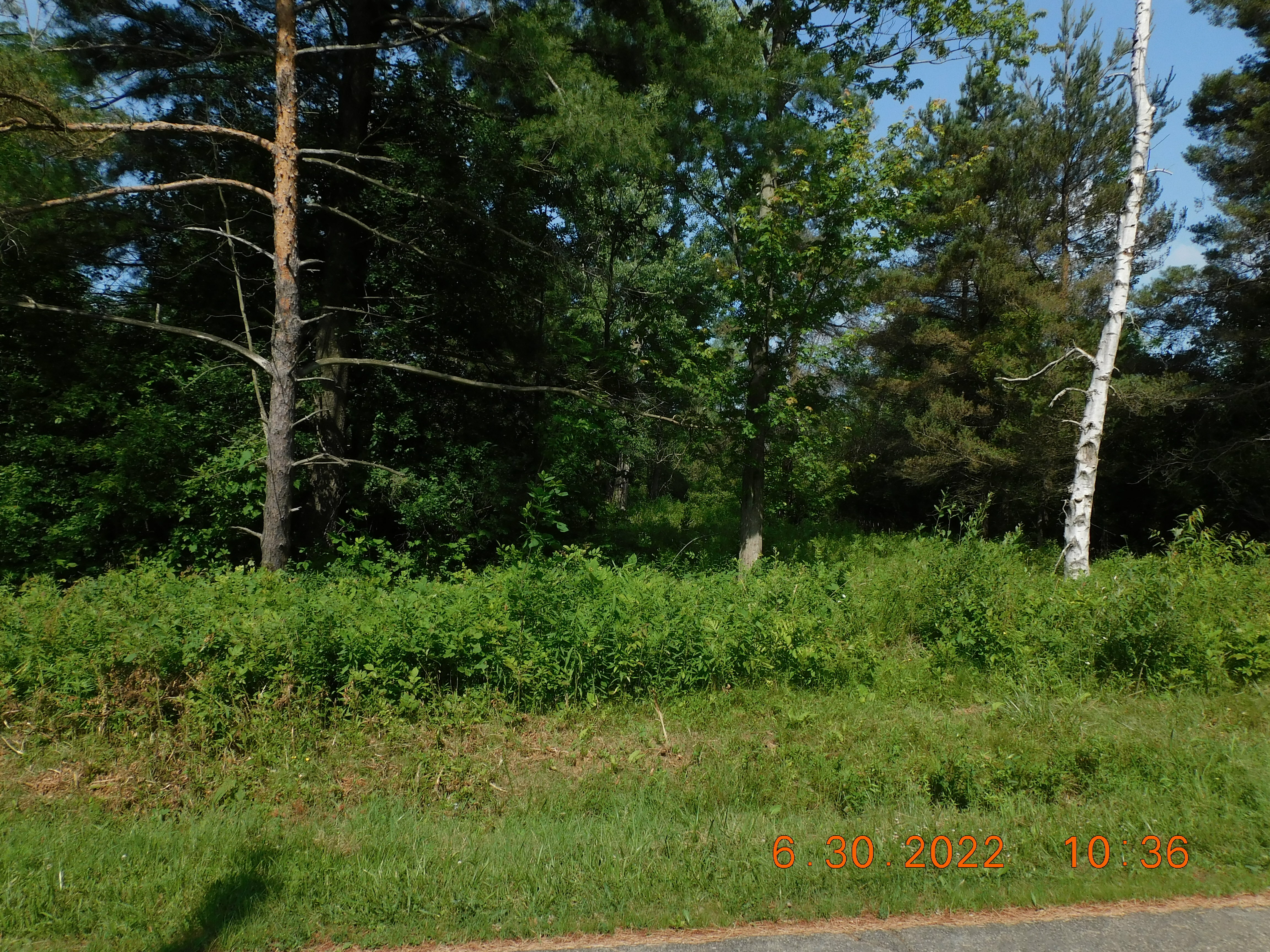 Property Photo:  7692 Decker Road  NY 14047 