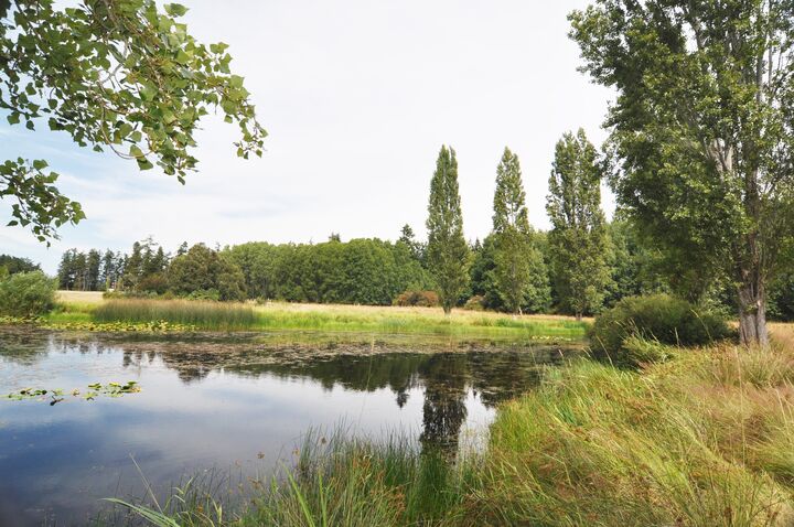Property Photo: Looking across pond to north parcel 0 Redgate Lane  WA 98261 
