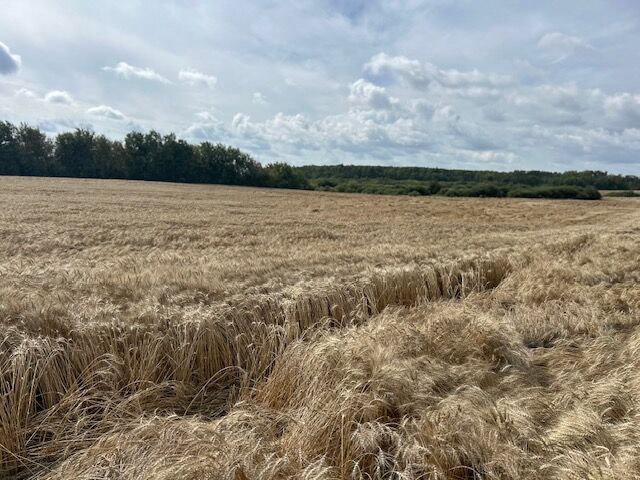 Property Photo:  36-19-23 NW - Rm Of Rossburn  MB R0J 1K0 